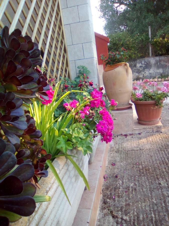 Bed and Breakfast Casa Te La Bradamante à Magliano Extérieur photo