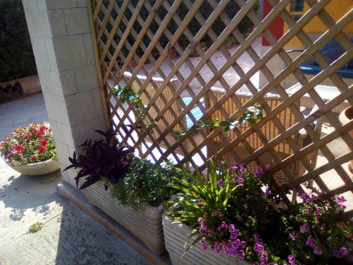 Bed and Breakfast Casa Te La Bradamante à Magliano Extérieur photo