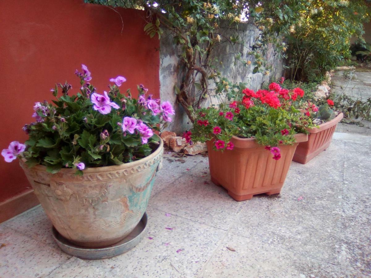 Bed and Breakfast Casa Te La Bradamante à Magliano Extérieur photo